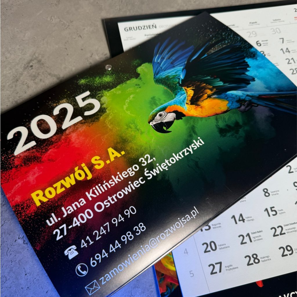 Rozwój S.A.